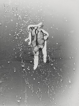 Henry Holmes Smith - Untitled