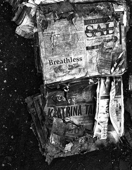 Debbie Fleming Caffery, Breathless, September 2005
Gelatin silver print, 22 3/8 x 17 3/8 in. (57 x 44.1 cm)
Edition of 10
2677
$4,500