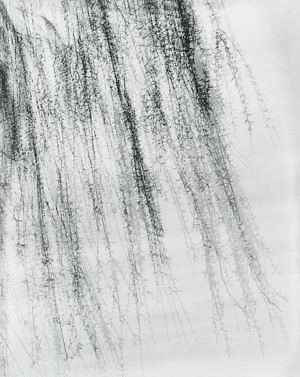 Harry Callahan, Royal Oak, Michigan, 1945
Gelatin silver print; printed later, 9 5/8 x 7 5/8 in. (24.4 x 19.4 cm)
Signed in pencil on print recto.
Illustrated: Photographs: Harry Callahan. El Mochuelo Gallery, 1964, pl. 87. The Photography of Harry Callahan: 1941-1982. The Seibu Museum of Art, 1983, p. 90, fig. 36.
8747
$15,000