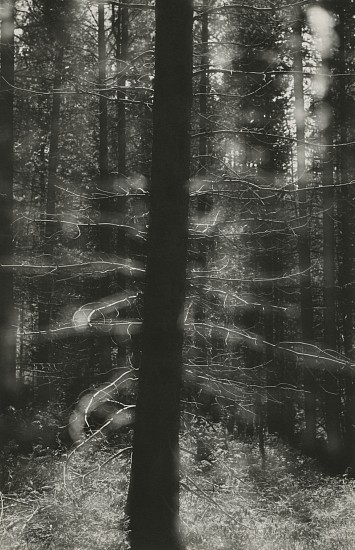 Kenneth Josephson, Colorado, 1959
Vintage gelatin silver print; printed 1960, 6 1/4 x 4 1/16 in. (15.9 x 10.3 cm)
Flush mounted and inscribed 'Christmas 1960' and signed, 'Ken + Sherill Josephson'.
Illustrated: Kenneth Josephson: A Retrospective. The Art Institute of Chicago, 1999, p. 67, pl. 8. The Light of Coincidence: The Photographs of Kenneth Josephson. Austin: The University of Texas Press, 2016, p. 213.
8749
$6,000