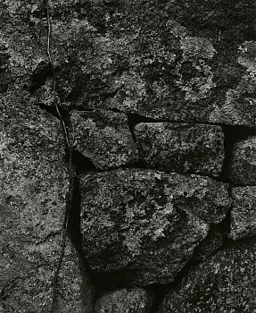 Aaron Siskind -&nbsp;Martha's Vineyard