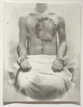 Dan Estabrook -&nbsp;Bloom (Gift)