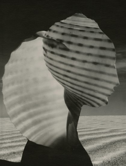 Ruth Thorne-Thomsen, Pacifica, New Mexico (version 1), 1986
Vintage gelatin silver print, 4 5/8 x 3 3/4 in. (11.8 x 9.5 cm)
From the series Views from the Shoreline.
8778
$4,000