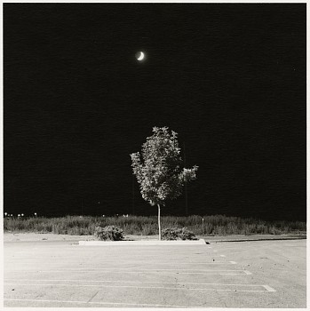 Exhibition: The Photography Show presented by AIPAD,&nbsp;Robert Adams