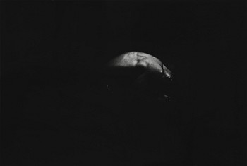 Eikoh Hosoe -&nbsp;Barakei #0
