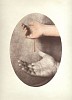 Dan Estabrook, Bleed
2007, Salt print with watercolor
