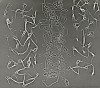 Herbert Matter, Untitled
c. 1939-43, Vintage gelatin silver print; printed c. 1940s